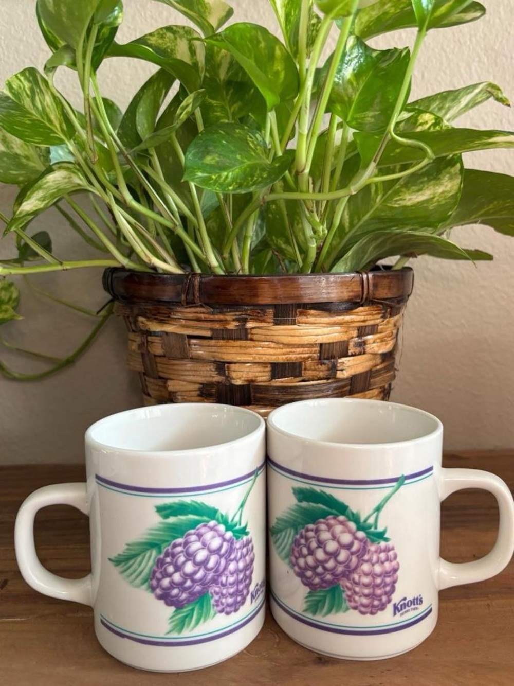 Vintage Farmhouse Knott's Berry Farm blackberry mugs